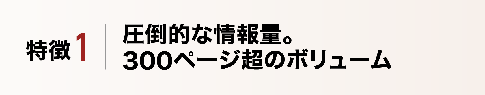 圧倒的な情報量。300ページ超のボリューム